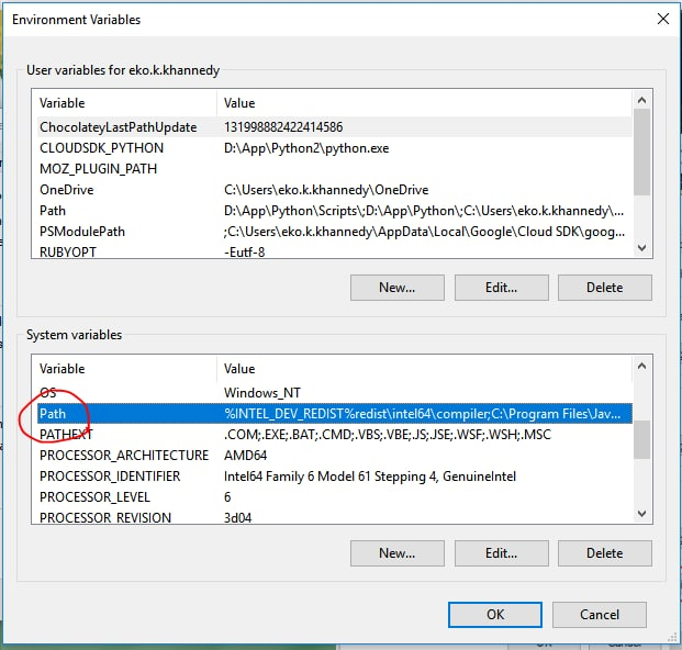 Environment Variable